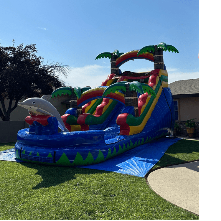 Dolphin Slide 15ft