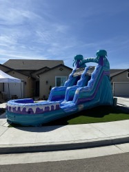 15 ft Electric Jellyfish Waterslide